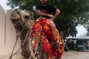 Delhi, Agra i Jaipur: 4-dniowa wycieczka po Złotym Trójkącie Indii