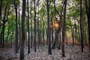 Visite du Triangle d'or Delhi Agra Jaipur avec Varanasi Sarnath