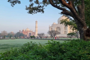 Delhi: giro turistico di Agra Mathura Vrindavan con pranzo