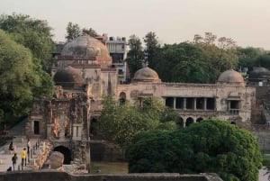 Delhi: Private Half Day Delhi City Guided Tour By Car