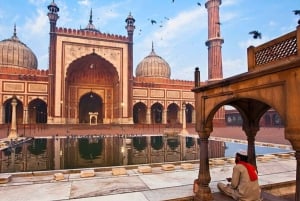 Delhi flygplats: Privat guidad stadsrundtur i Delhi med bil