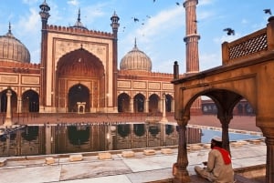 Delhi Airport: Private Guided Layover Delhi City Tour by Car