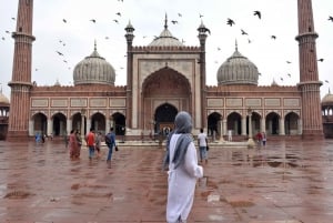 Delhi flygplats: Privat guidad stadsvandring med upphämtning