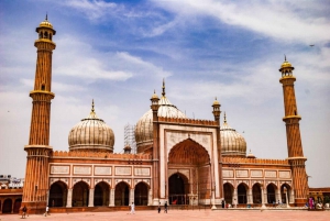 Delhi: All Inclusive Old & New Delhi Full & Half Day Tour