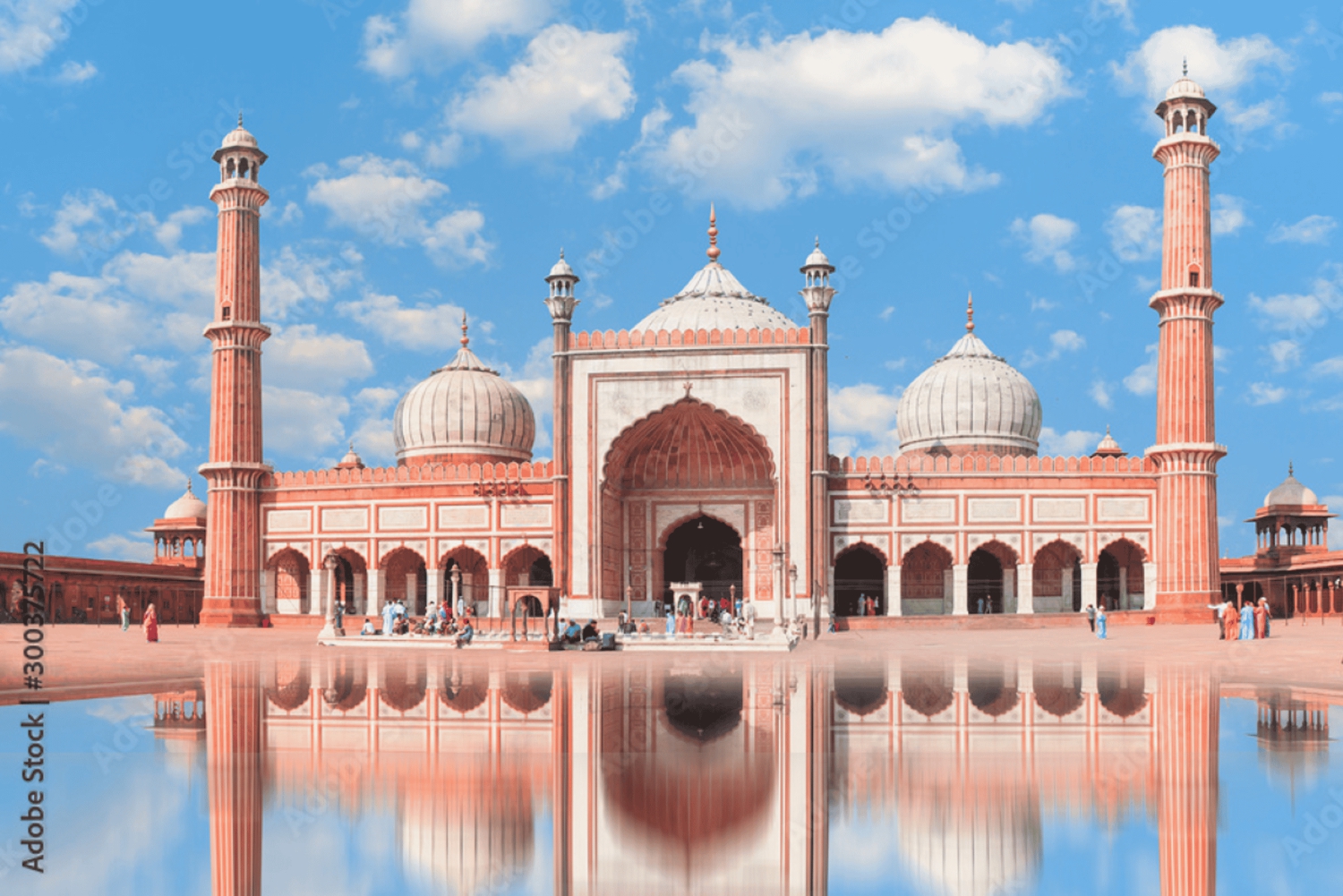 Tour de 1 día por la arquitectura y los monumentos de Delhi con almuerzo