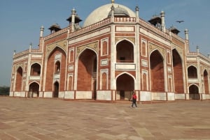 Delhi City Sightseen, heldagstur inkludert New & Old delhi