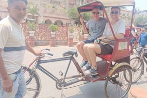 Delhi City Sightseen, heldagstur inkludert New & Old delhi