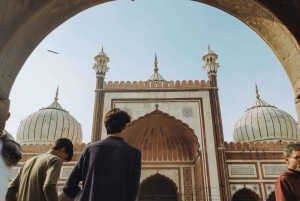 Delhi City Sightseen, heldagstur inkludert New & Old delhi