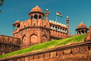 Old & New Delhi: tour guidato della città di un giorno con monumenti