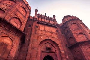 Old & New Delhi: tour guidato della città di un giorno con monumenti