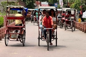 Tour privado de día completo por la antigua y la nueva Delhi en coche