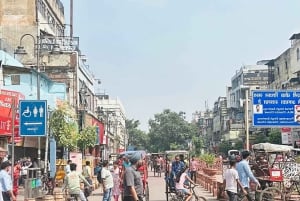 Tour privado de día completo por la antigua y la nueva Delhi en coche