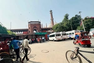 Tour privado de día completo por la antigua y la nueva Delhi en coche