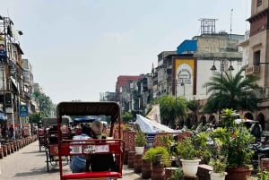 Tour privado de día completo por la antigua y la nueva Delhi en coche