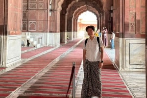 Tour privado de día completo por la antigua y la nueva Delhi en coche