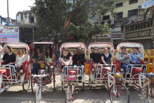 Delhi: Luo oma matkasuunnitelmasi - Yksityinen kiertoajelu & kuljetus