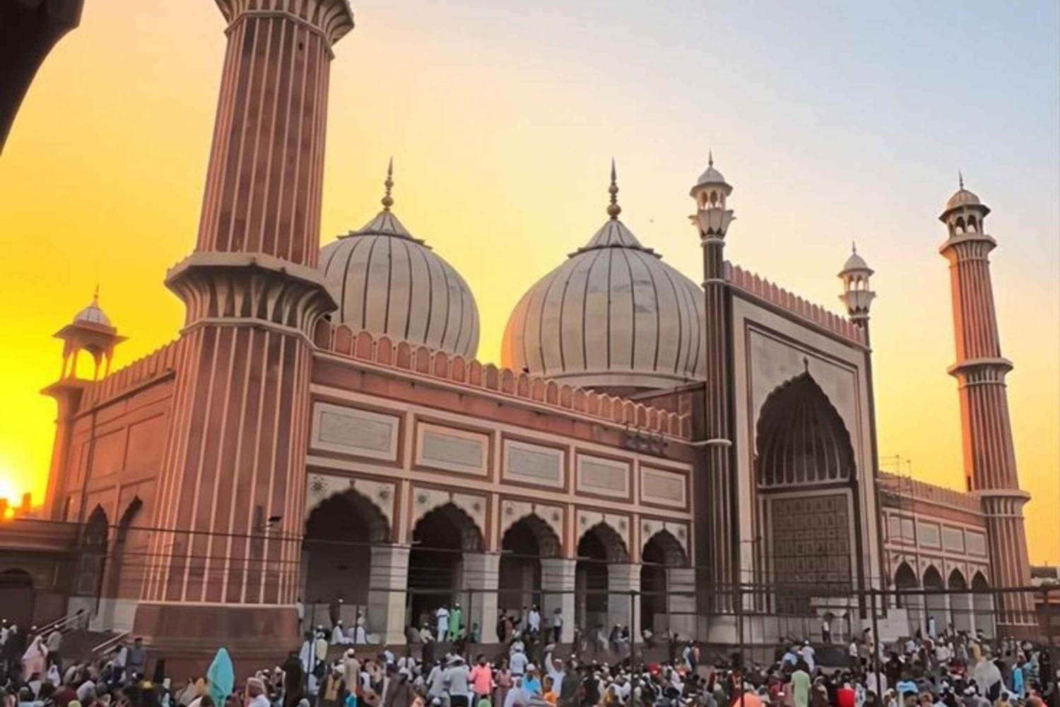 Delhi: tour personalizzabile con esperti - Opzioni disponibili