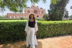 Delhi: Excursão privada de meio dia ou dia inteiro pela Velha e Nova Deli
