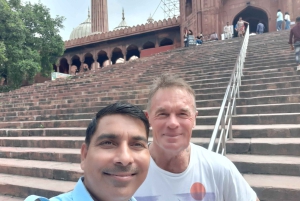 Visita de un día a Delhi con guía turístico