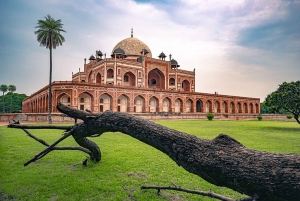 Visita de un día a Delhi con guía turístico