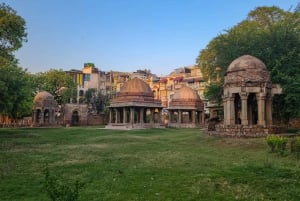 Delhi: tour a pie por el parque de los ciervos y el pueblo de Hauz Khas