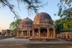 Delhi: tour a pie por el parque de los ciervos y el pueblo de Hauz Khas