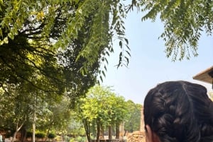 Delhi: tour a pie por el parque de los ciervos y el pueblo de Hauz Khas