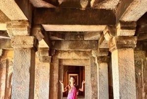 Delhi: tour a pie por el parque de los ciervos y el pueblo de Hauz Khas