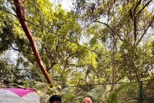 Delhi: tour a pie por el parque de los ciervos y el pueblo de Hauz Khas