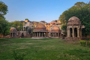 Delhi: tour a pie por el parque de los ciervos y el pueblo de Hauz Khas