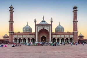 Delhi: crea il tuo itinerario – tour privato e trasferimenti