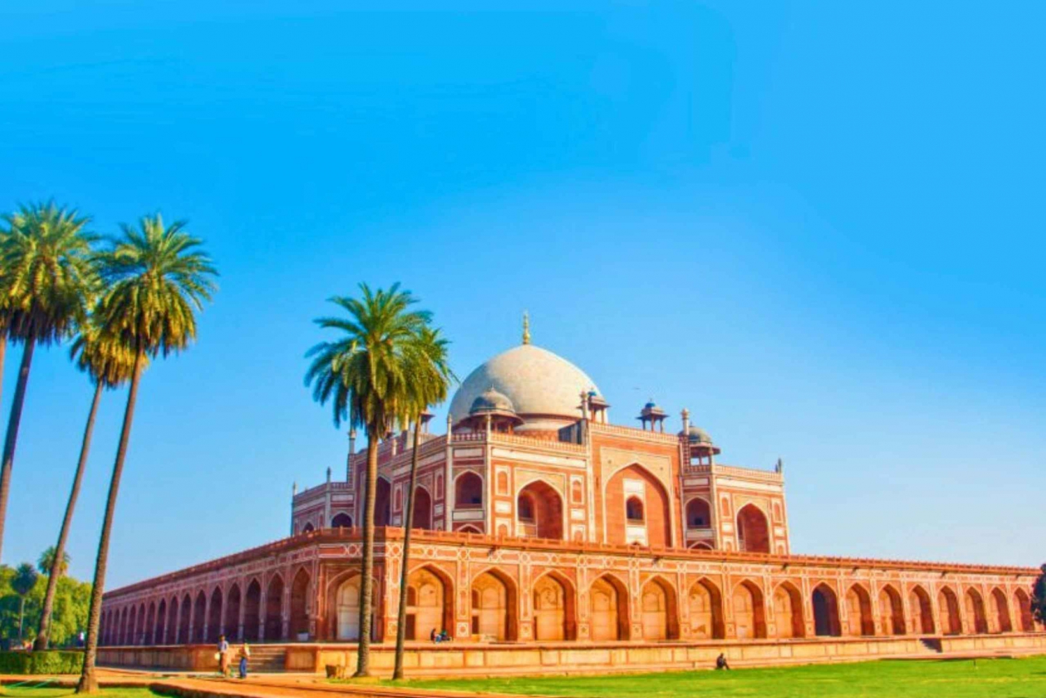 Delhi: Old and New Delhi Guided Full or Half-Day Tour