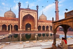 Delhi: prywatna wycieczka po mieście (stare i nowe Delhi) całodniowa lub wycieczka półdniowa