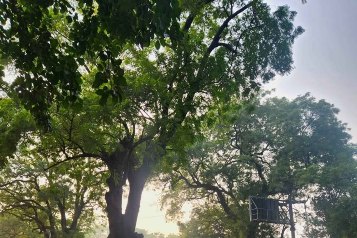 Découvrez Delhi : visite le matin – expérience privée