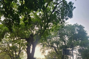 Delhi: wycieczka poranna – prywatne doświadczenie