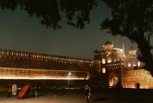 Delhi: tour serale della città vecchia di Delhi con guida