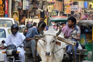 Delhi Exclusive Guided Shopping Tour in AC car and transfers