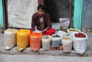 Visite guidée exclusive de Delhi en voiture climatisée et transferts