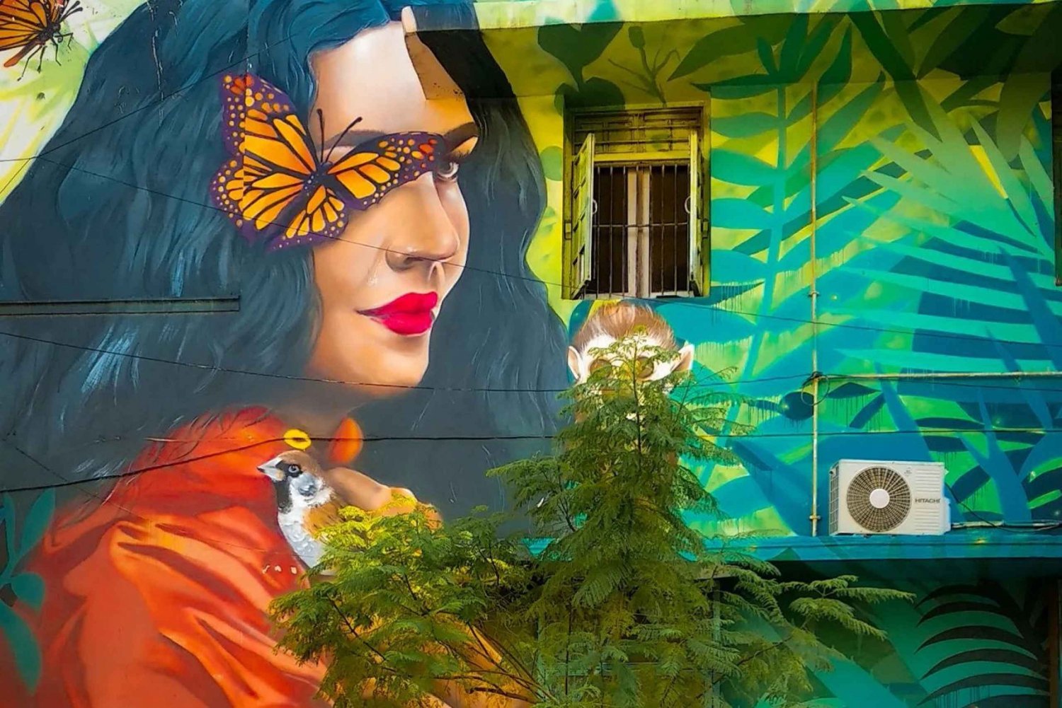 Delhi: Esplora la Street Art di Delhi e visita un centro d'arte