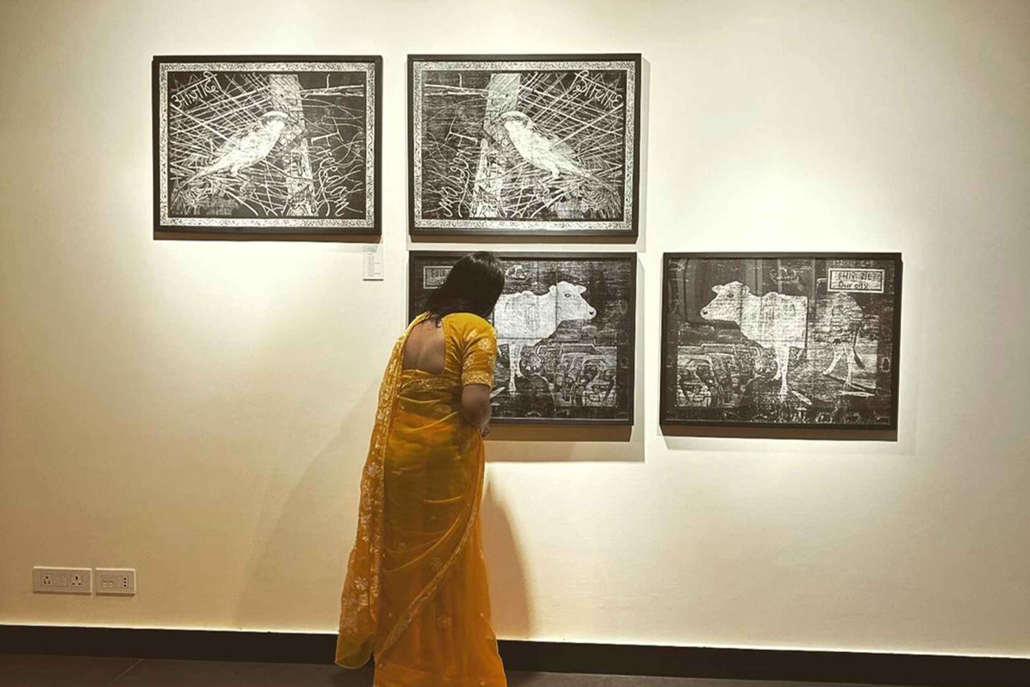 Delhi: Utforsk Delhis gatekunst og besøk på et kunstsenter