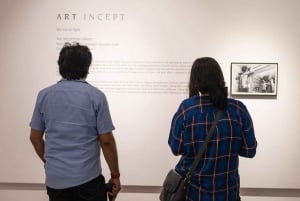 Delhi : Exploration de l'art de la rue à Delhi et visite d'un centre d'art