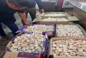 Delhi: Tehtaiden ja tukkumarkkinoiden kierros lounaalla