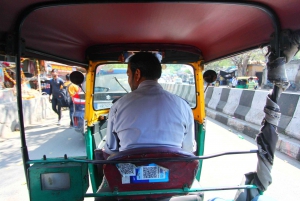 Delhi: Ganztägige Sightseeingtour durch Delhi mit öffentlichen Verkehrsmitteln