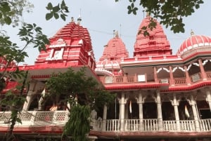 Delhin koko päivän opastettu temppeli- ja hengellisten maamerkkien kierros