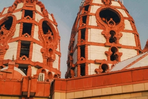 Heldagstur med guide til templer og åndelige landemerker i Delhi