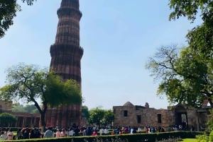 Delhi: dagvullende rondleiding met riksja-rit