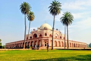 Delhi: excursão de 1 dia pela história, espiritualidade e cultura