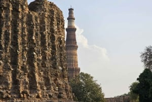 Delhi: excursão de 1 dia pela história, espiritualidade e cultura