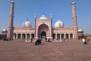 Delhi: Full Day Old and New Delhi Private Luxury Guided Tour