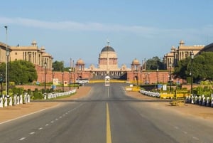 Delhi: Full Day Old and New Delhi Private Luxury Guided Tour